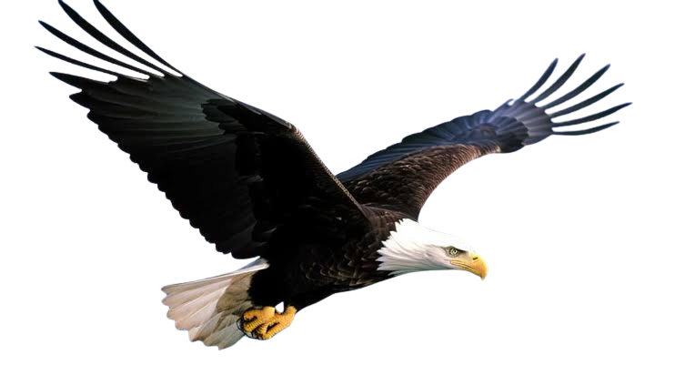 Águila
